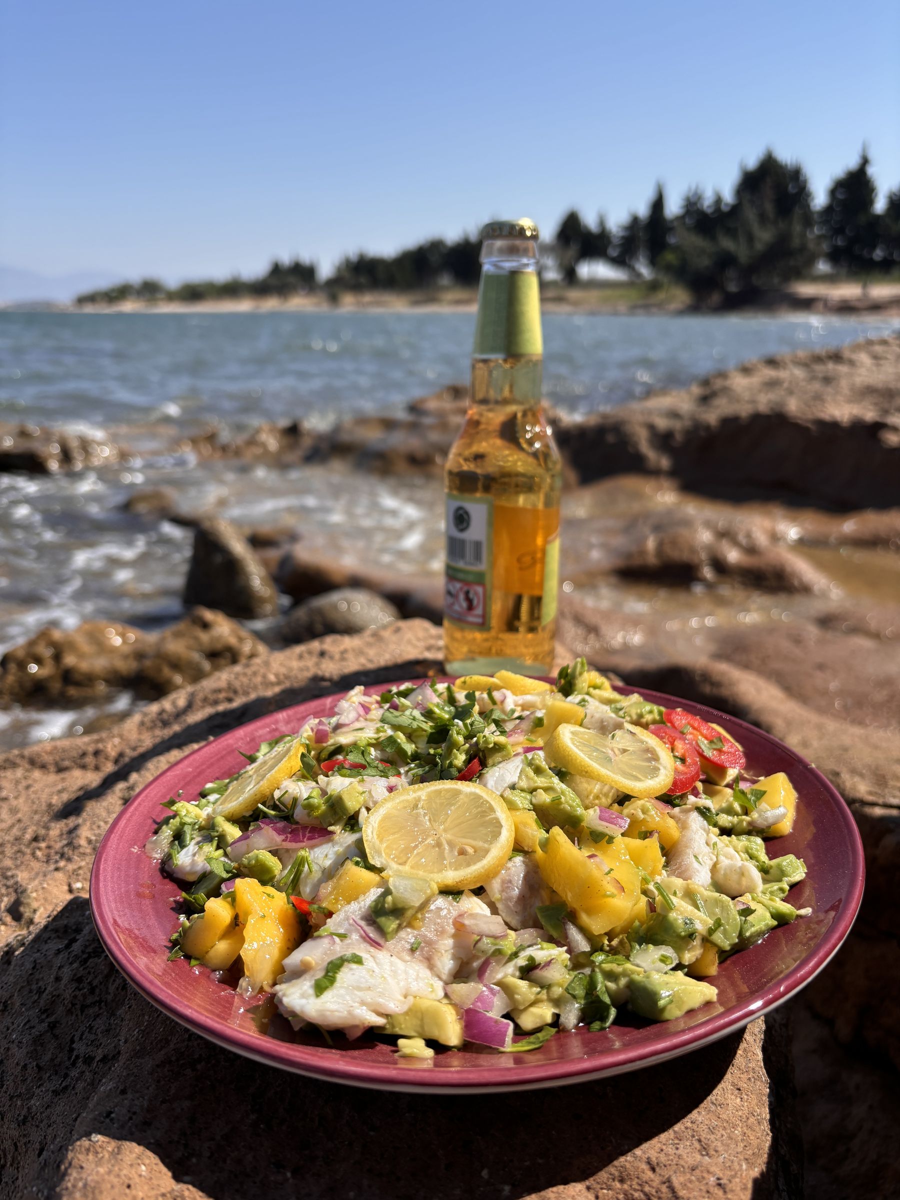 Deniz kenarında mango ve avokadolu balık ceviche tabağı